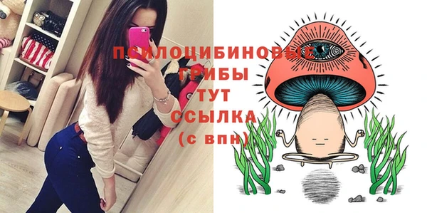 крисы Нефтекумск