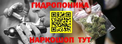 эйфоретик Гатчина