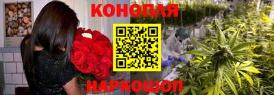 эйфоретик Гатчина