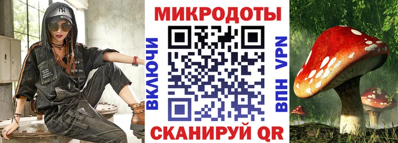 mega ONION  Амурск  Галлюциногенные грибы Cubensis 