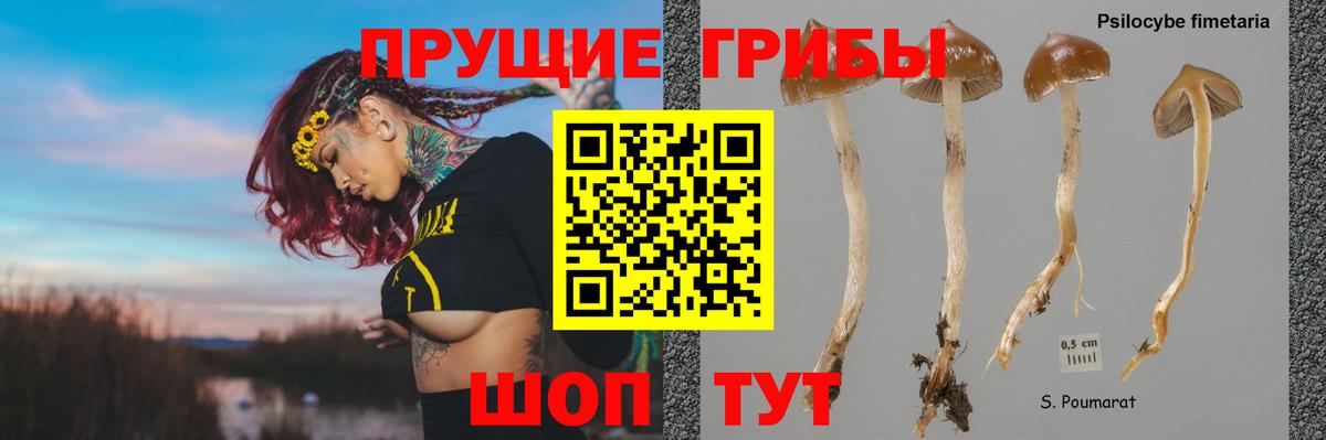 Галлюциногенные грибы MAGIC MUSHROOMS Амурск